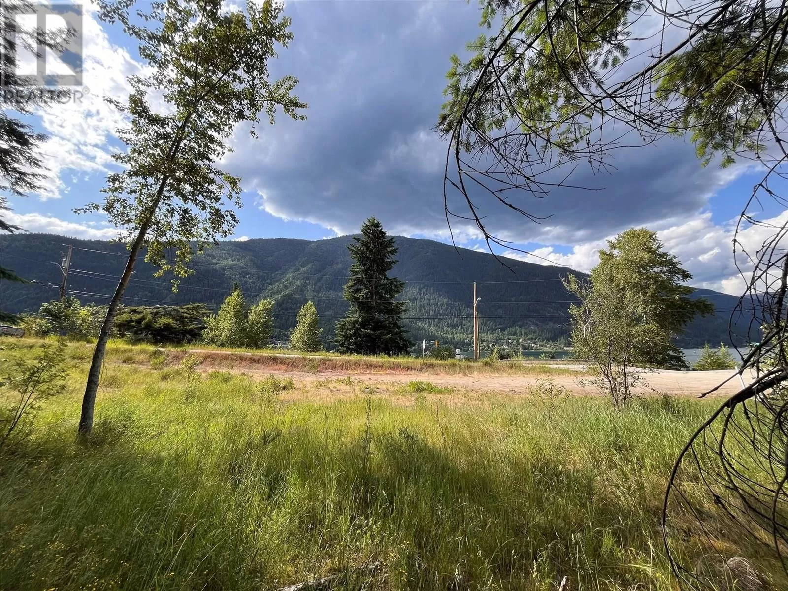 Other for rent: 1102 Bealby Street, Nelson, British Columbia V1L 3B4