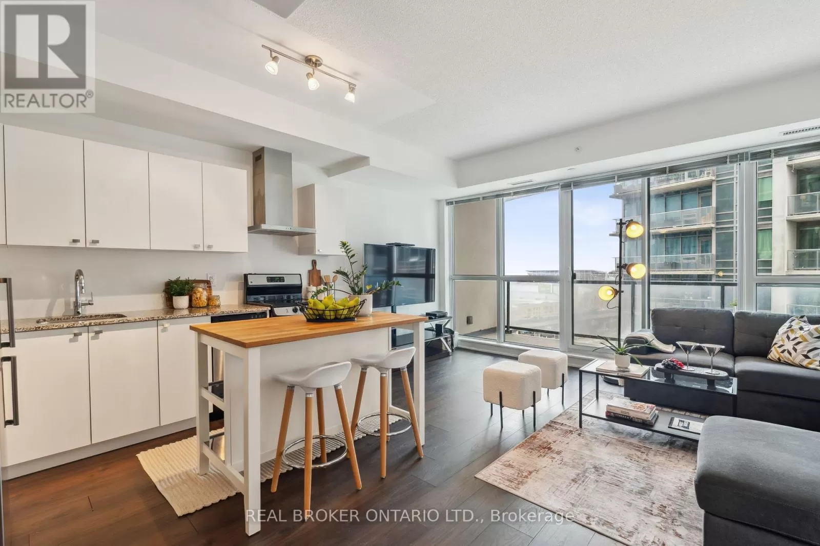 1115 - 51 East Liberty Street, Toronto, Ontario M6K 3P8