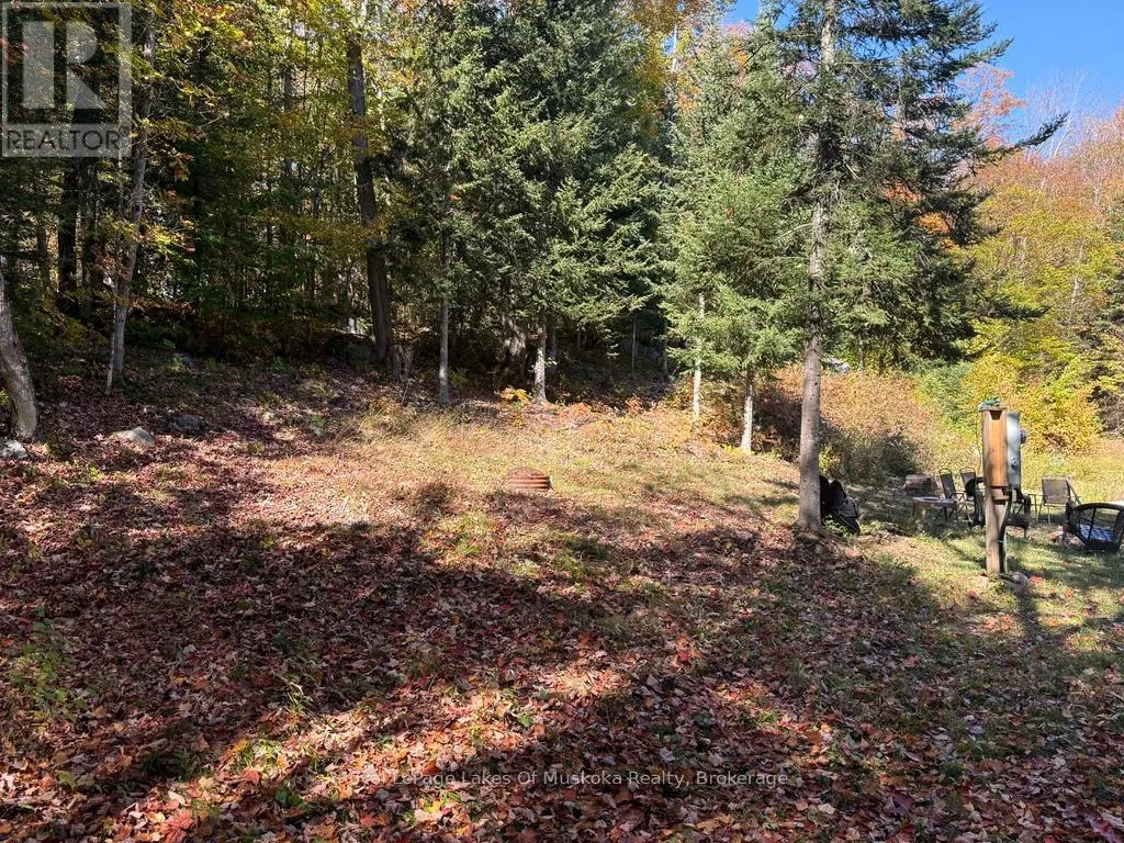 1118 Stoney Road, Ryerson, Ontario P0A 1C0