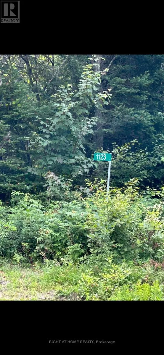 1123 Fourth Ave. Avenue, McMurrich/Monteith, Ontario P0A 1Y0