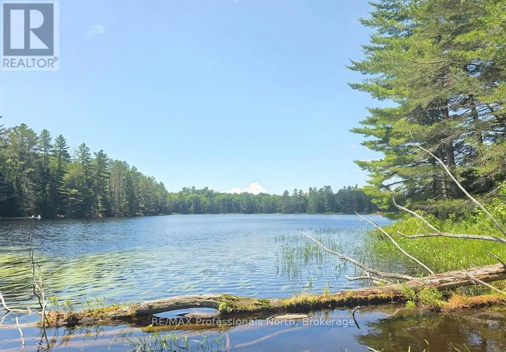 1134 Walkers Line Road, Algonquin Highlands, Ontario K0M 1S0