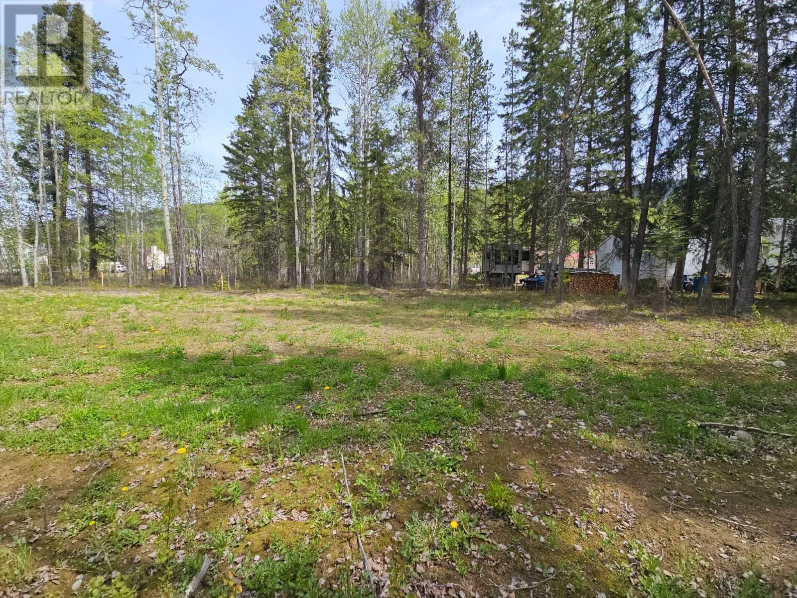 Other for rent: 115 Red Willow Ave, Tumbler Ridge, British Columbia V0C 2W0