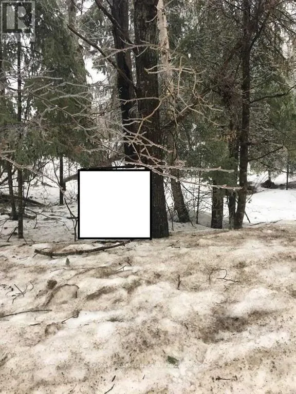 1173 South Baptiste Lake Road, Hastings Highlands, Ontario K0L 1C0