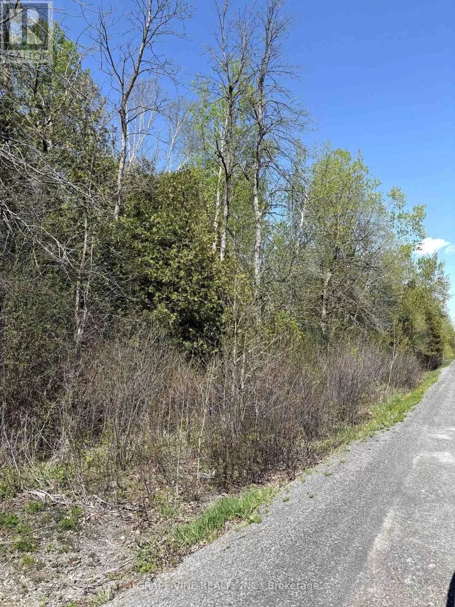 11865 (ptlt23) Armstrong Road, North Dundas, Ontario K0C 2K0