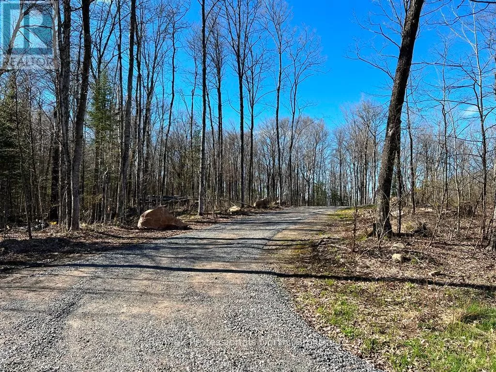 1199 Cedar Lake Road, Highlands East, Ontario K0L 3C0