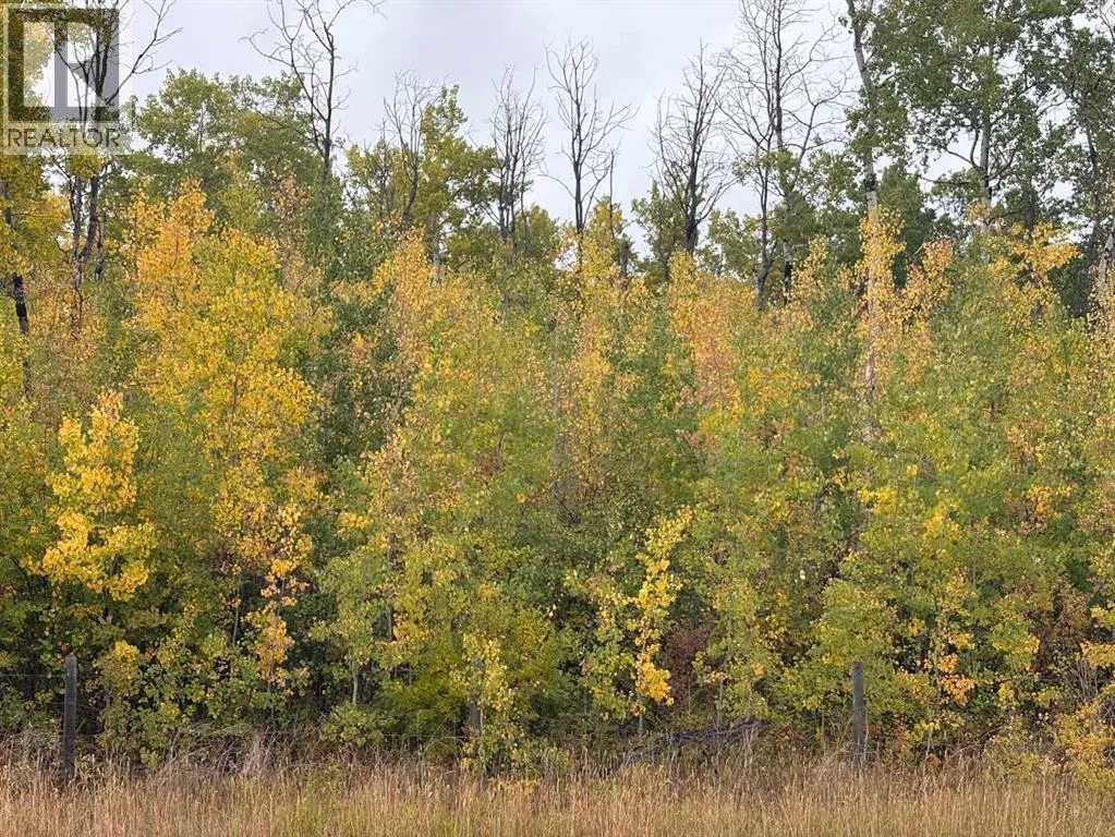 12 Foot Davis Road, Rural Northern Sunrise County, Alberta T0H 2E0