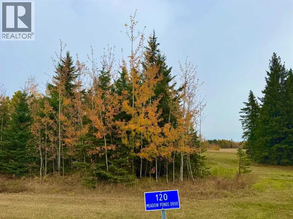 120 Meadow Ponds Drive, Rural Clearwater County, Alberta T4T 1A7