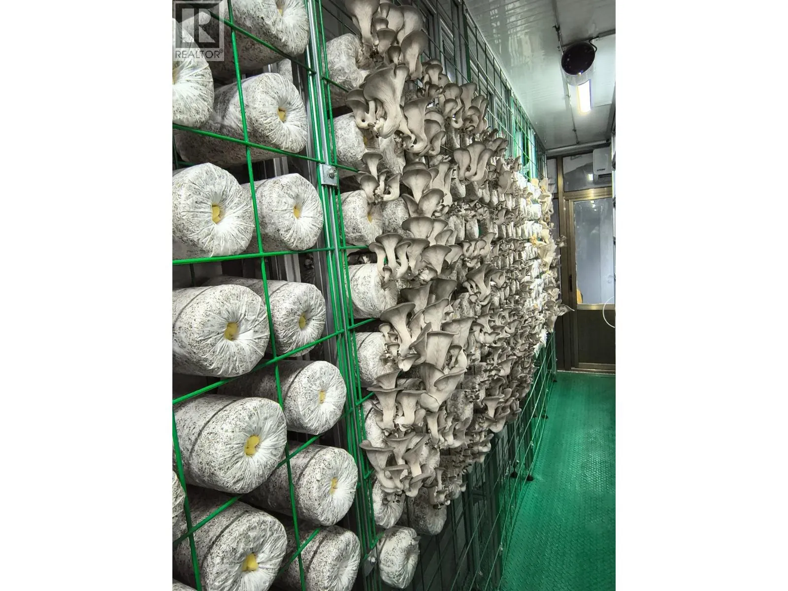 12022 Confidential Street, Vancouver, British Columbia V0V 0V0