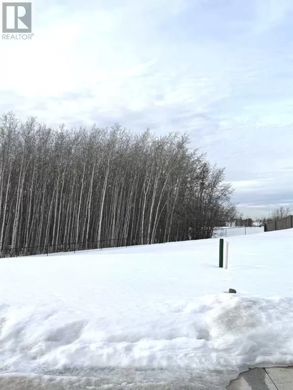 12034 77 Avenue, Grande Prairie, Alberta T8W 0M7