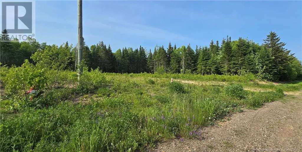 1207sm Rue Pascal, Canton Des Basques, New Brunswick E1X 1B5