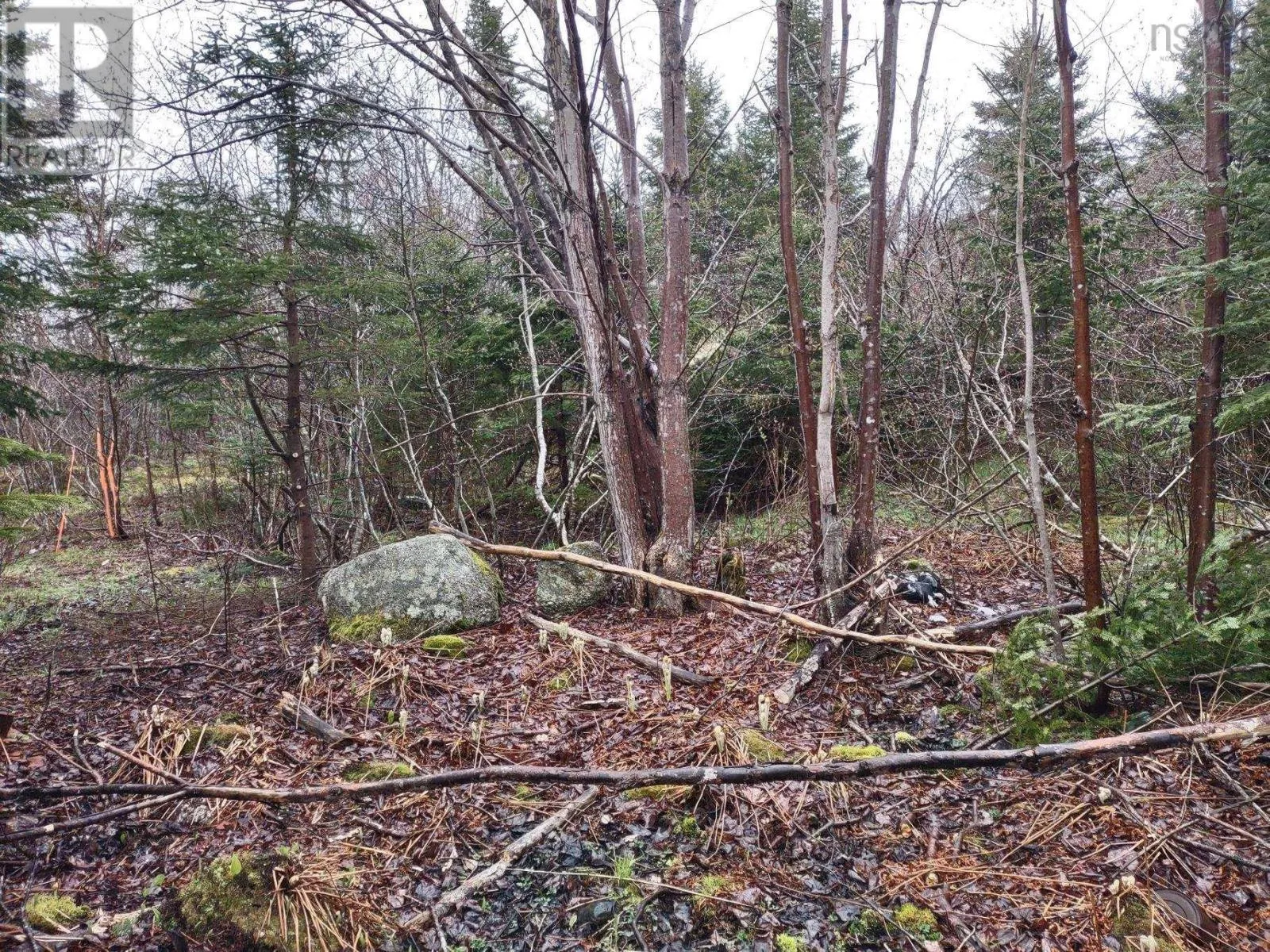 1218 St Margarets Bay Road, Beechville, Nova Scotia B3N 1J8