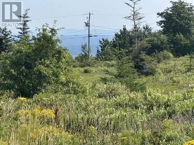 12-32 Blueberry Road, Bryants Cove, Newfoundland & Labrador