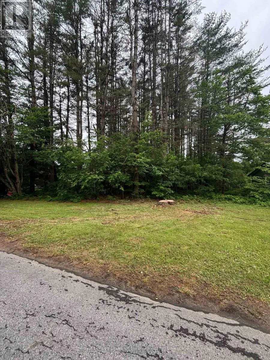 124 Frederick Street, Bracebridge, Ontario P1L 1B5