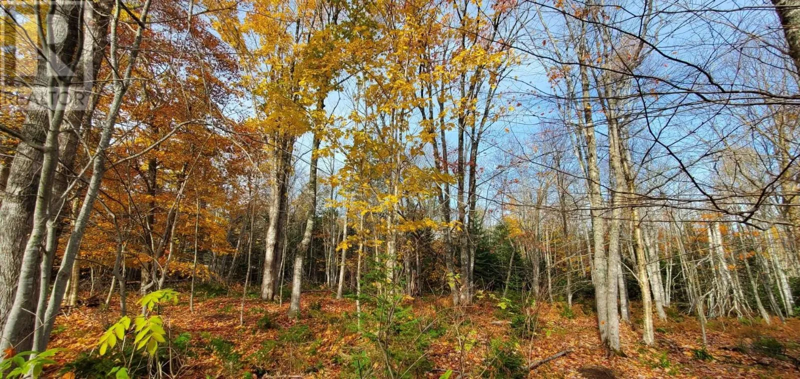 125 Cumberland Line Road, Fairview, Prince Edward Island C0A 1H2