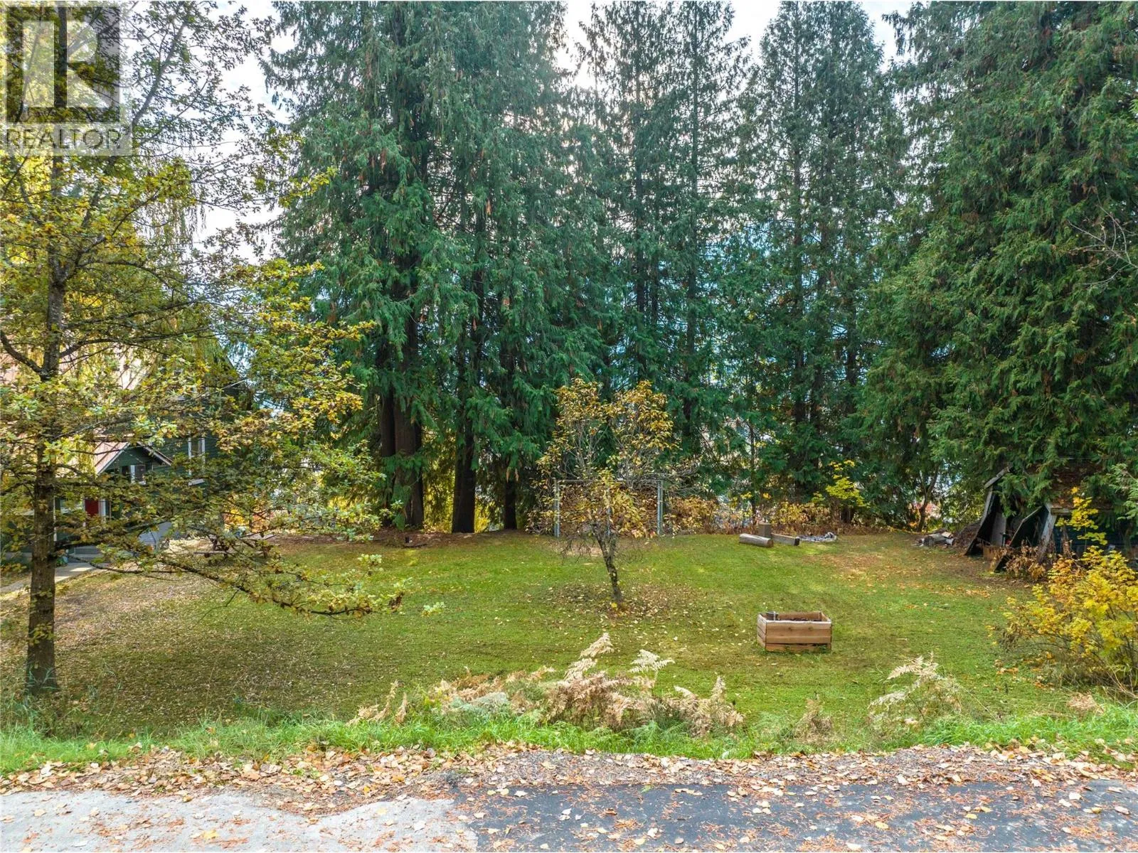 Other for rent: 125 Maple Street, Revelstoke, British Columbia V0E 2S0