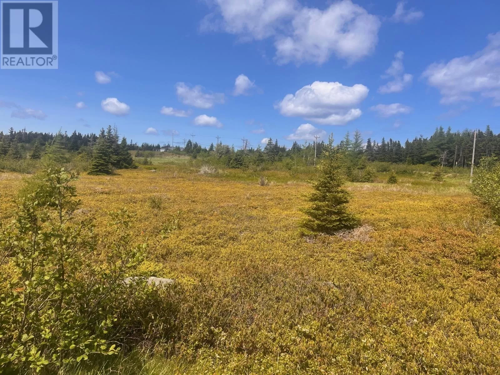 125-147 Main Road, Blackhead, Newfoundland & Labrador A0A 1L0