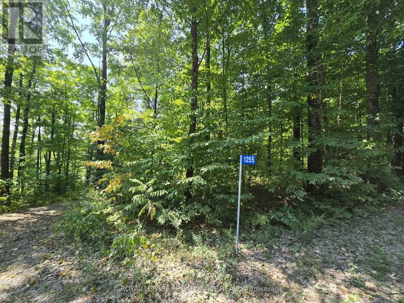 1255 Blue Heron Ridge, Central Frontenac, Ontario K0H 1B0