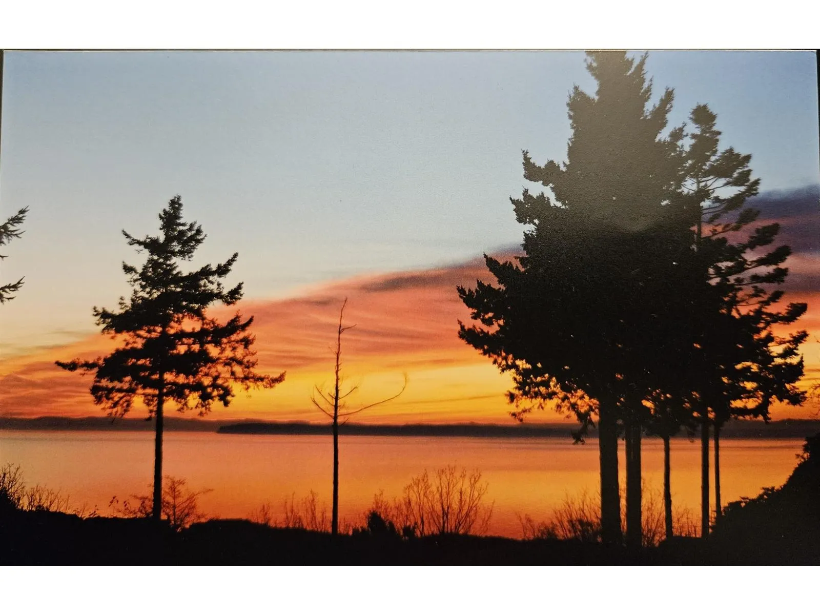 House for rent: 12581 16 Avenue, Surrey, British Columbia V4A 1M7