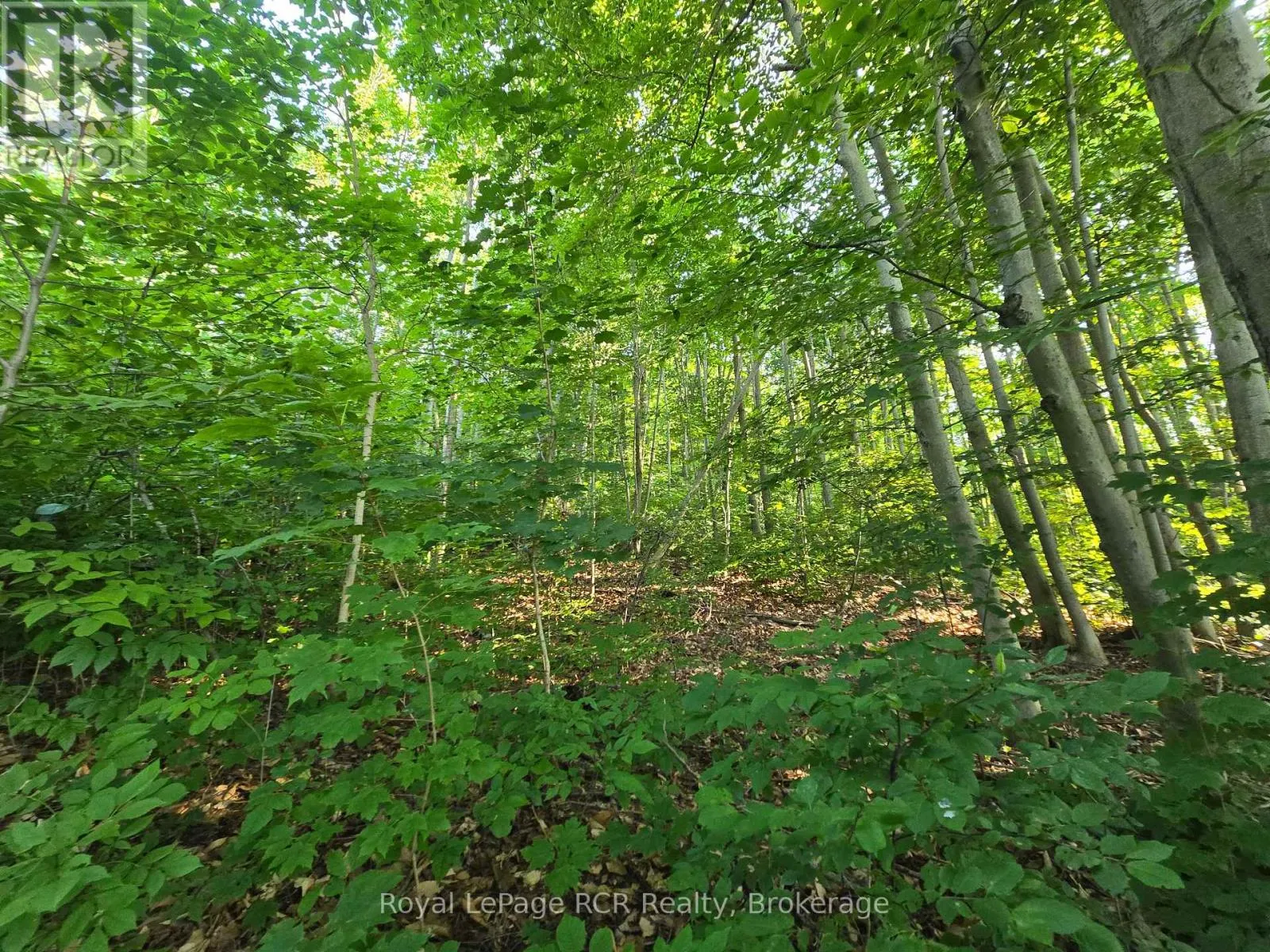 126 Old Highway 26 Highway, Meaford, Ontario N4L 1W7