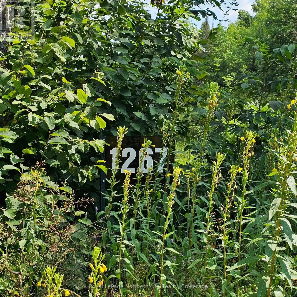 1267 Snake Creek Road, Mattawan, Ontario P0H 1V0