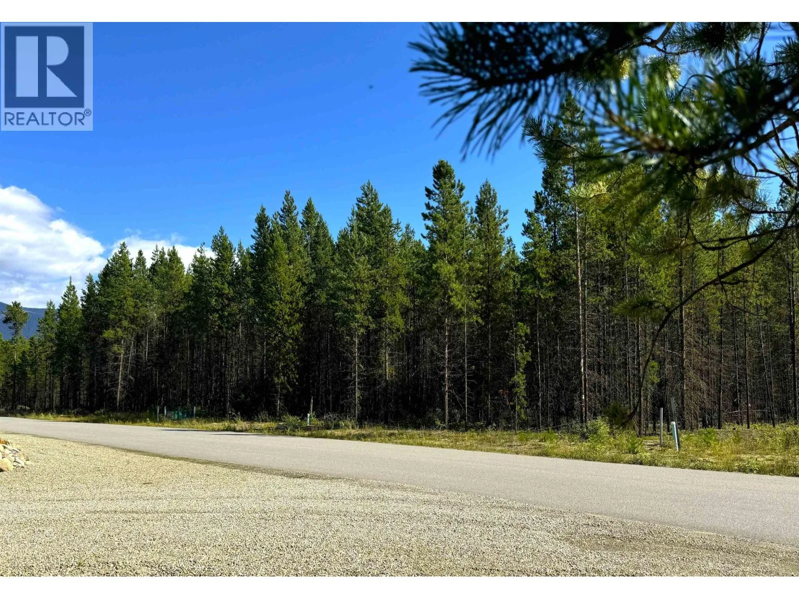 1285 Fowler Place, Valemount, British Columbia V2G 1Z6