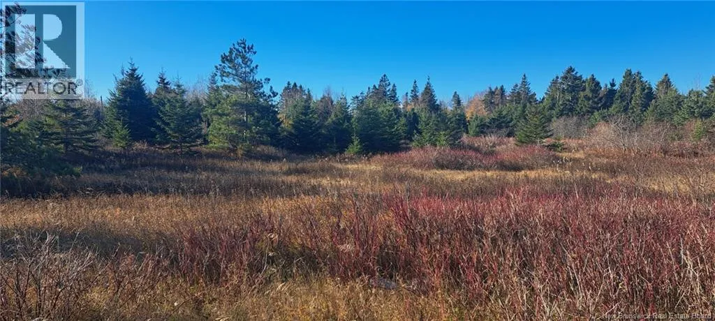 1.3 Acres Route 113, Miscou, New Brunswick E8T 1C7