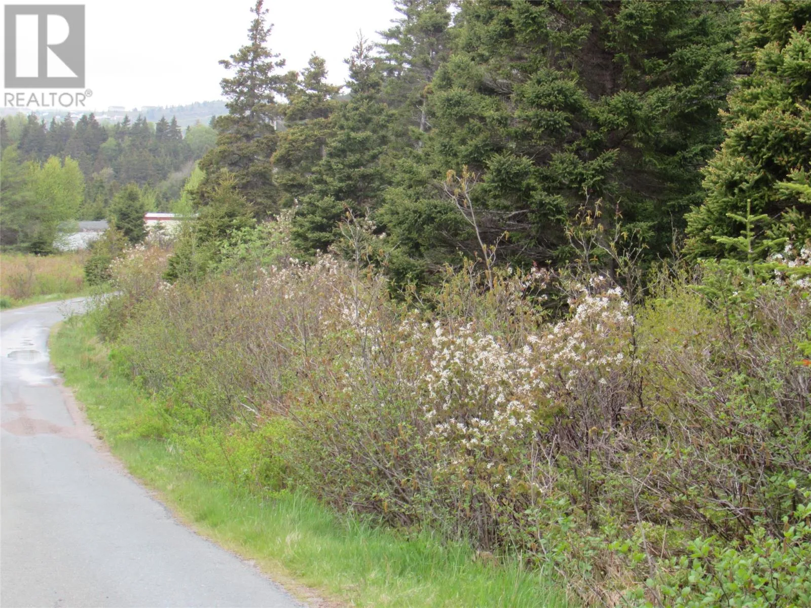 1-3 Cove Road, Colliers, Newfoundland & Labrador A0A 1Y0