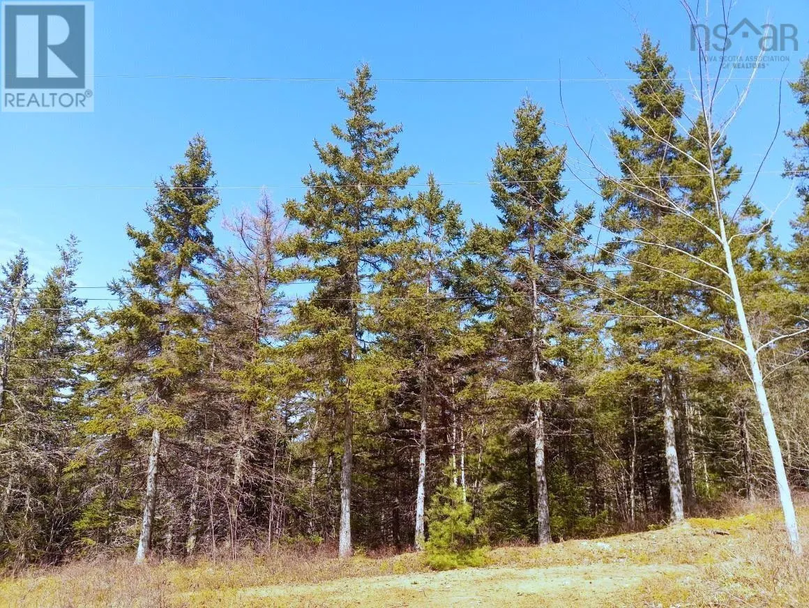 13 Johnny Cash Lane, Juniper Mountain, Nova Scotia B1K 0C2