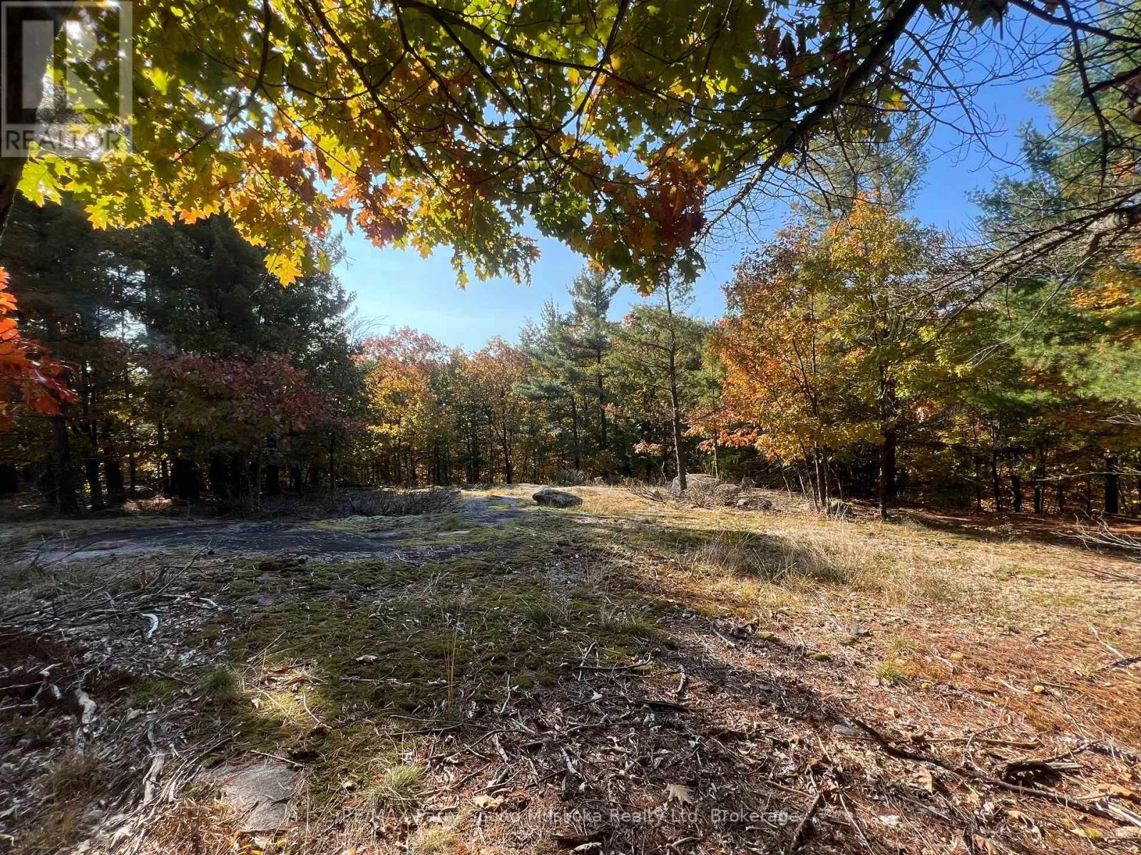 13 Ridgeway Drive, Carling, Ontario P0G 1G0