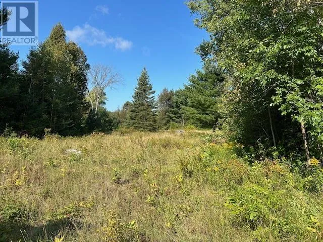 13 Riverview Dr, Iron Bridge, Ontario P0R 1H0