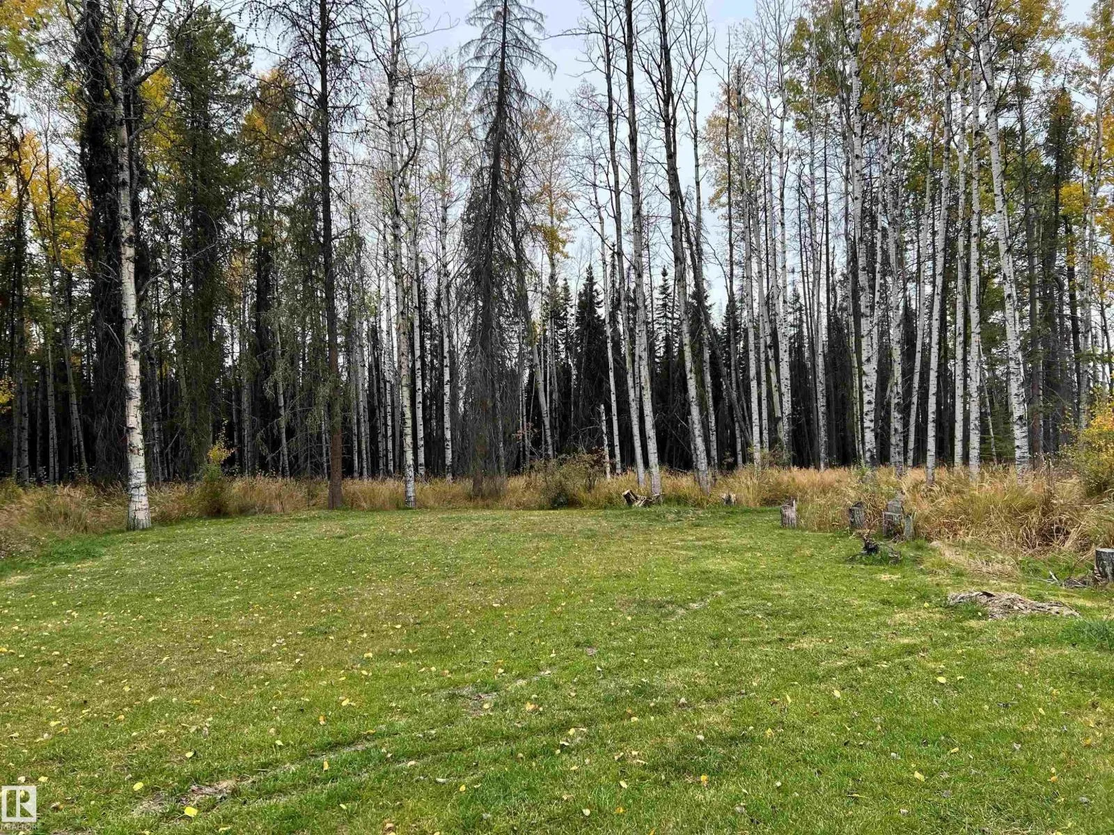 No Building for rent: #130 9002 Highway 16, Rural Yellowhead, Alberta T0E 2M0