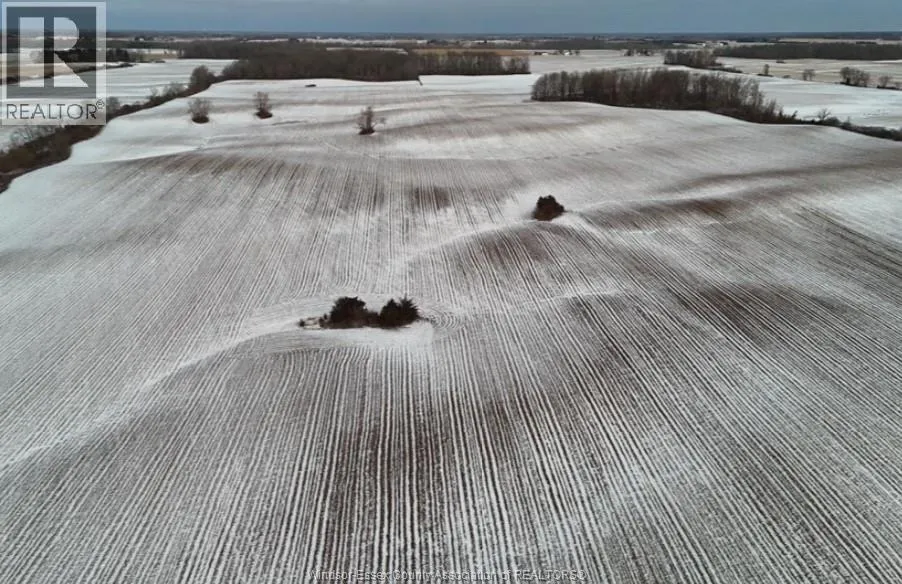 13119 Talbot Trail, Ridgetown, Ontario N0P 2C0