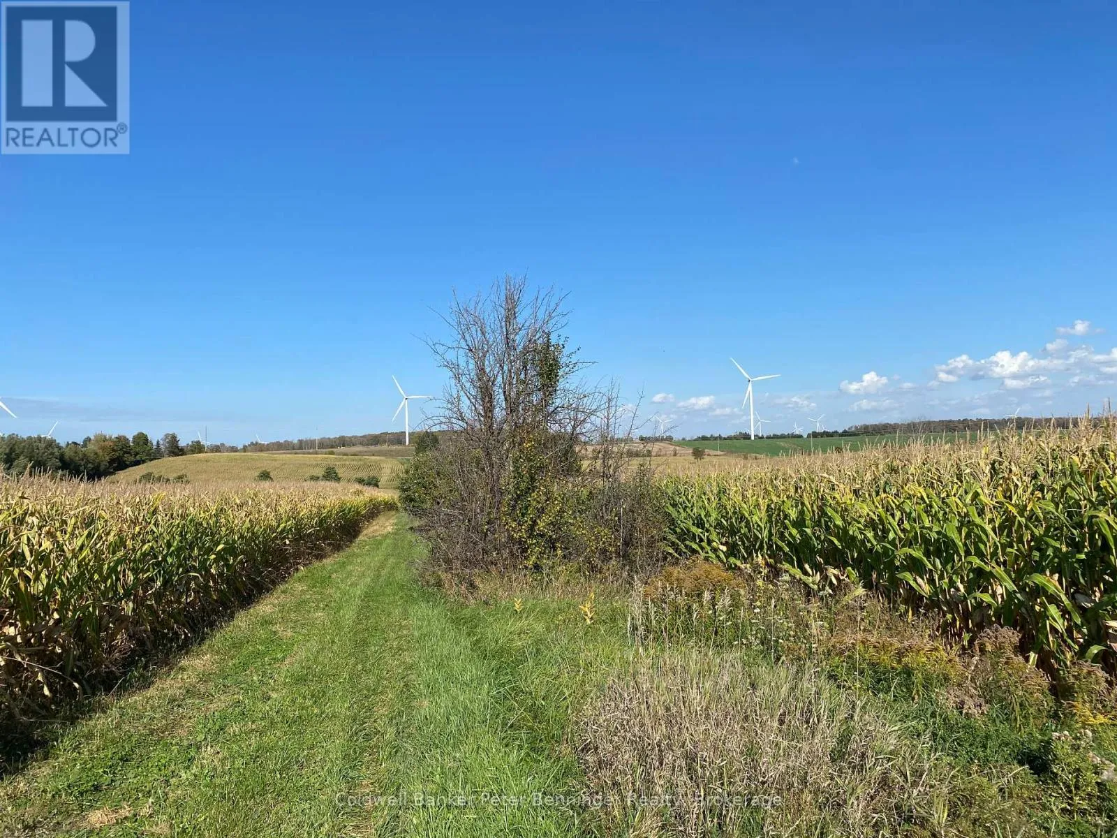 Unknown for rent: 1315 Concession 8 Concession, Kincardine, Ontario N0G 2T0