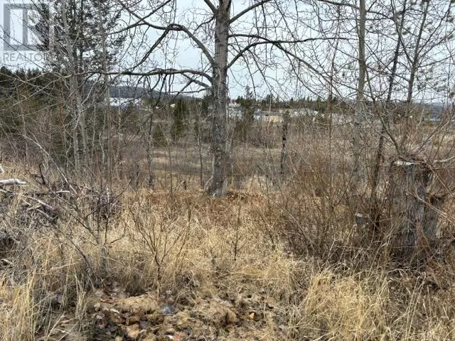 Other for rent: 133 Birch Crescent, Logan Lake, British Columbia V0K 1W0