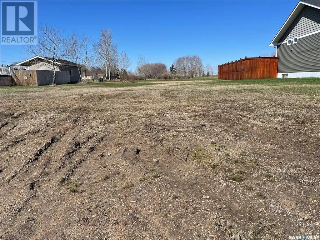 Unknown for rent: 133 Cameron Crescent, Watson, Saskatchewan S0K 4V0