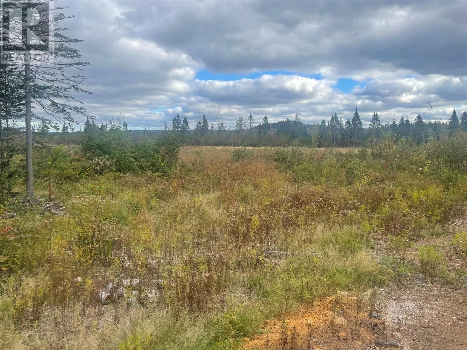 136333 Peter's Pond, Botwood, Newfoundland & Labrador A0H 1E0