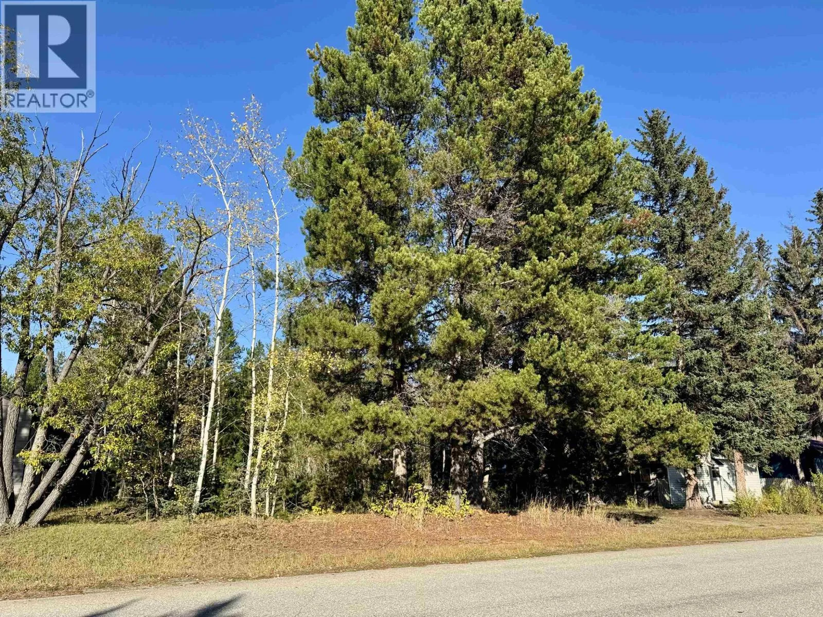 1366 7th Avenue, Valemount, British Columbia V0E 2Z0