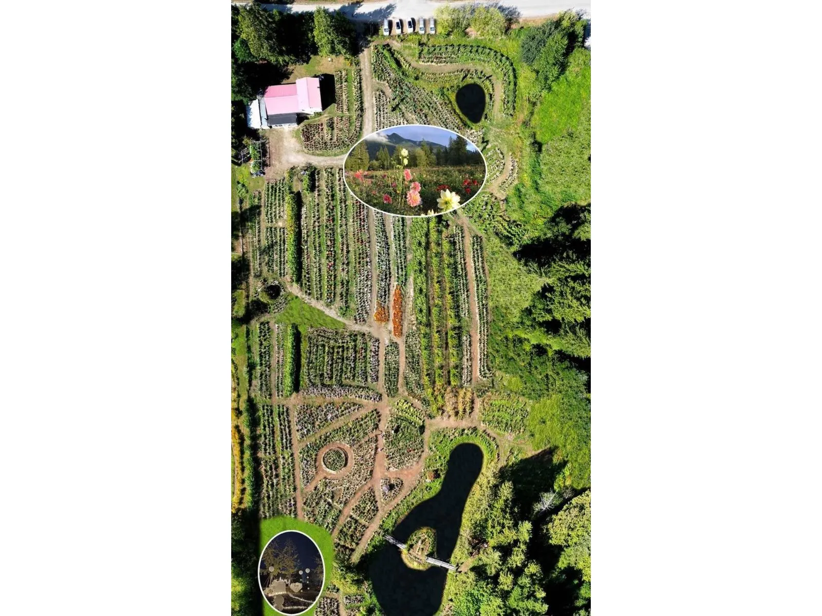 House for rent: 13842 Spratt Road, Mission, British Columbia V2V 4J1