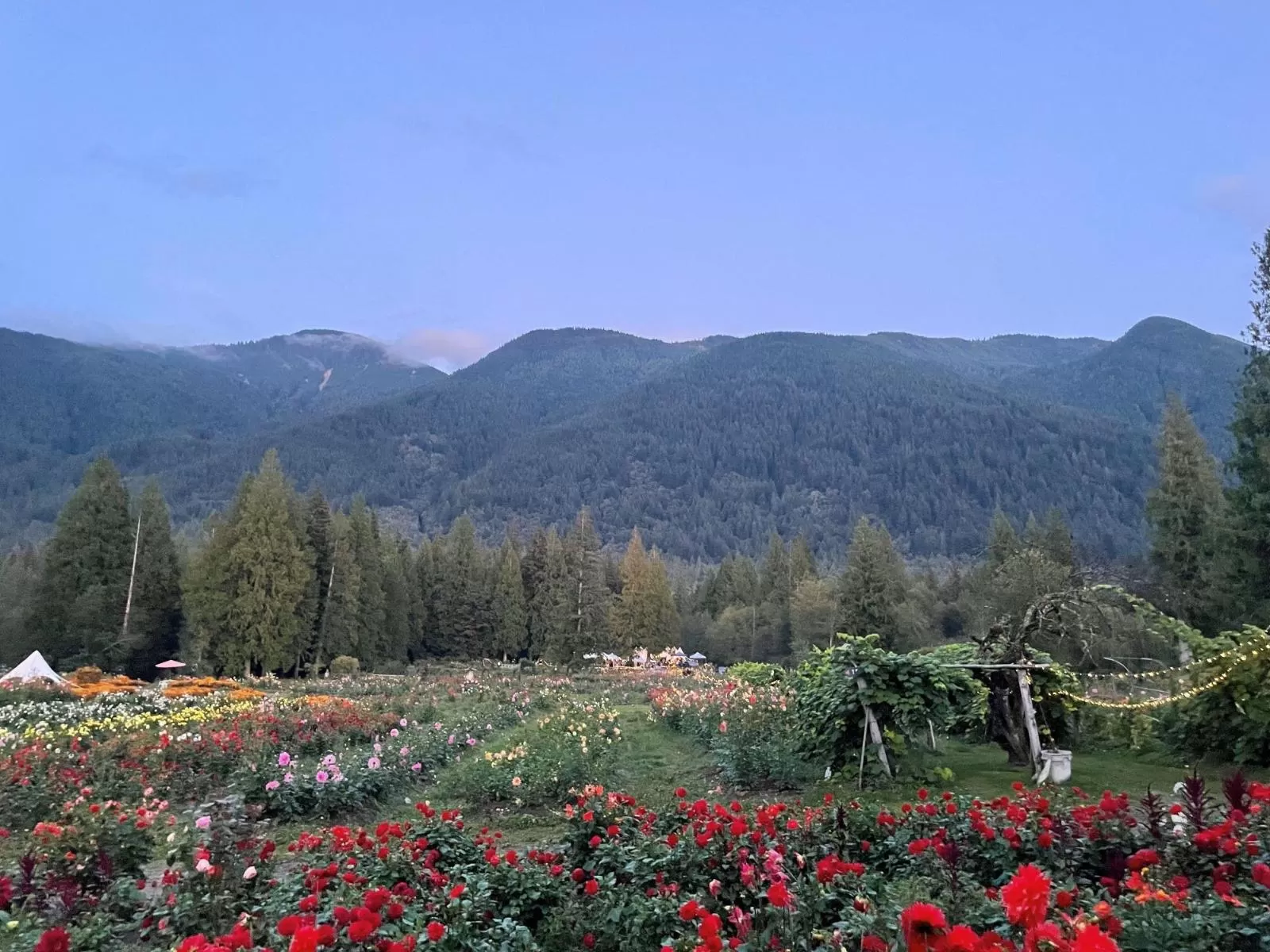 13842 Spratt Road, Mission, British Columbia V2V 4J1