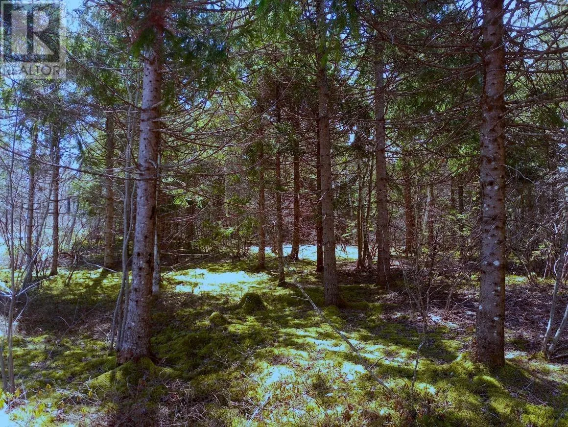 14 Johnny Cash Lane, Juniper Mountain, Nova Scotia B1K 0C2