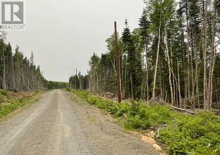 14 Paradise Road, Miller Town, Newfoundland & Labrador A0A 1V0