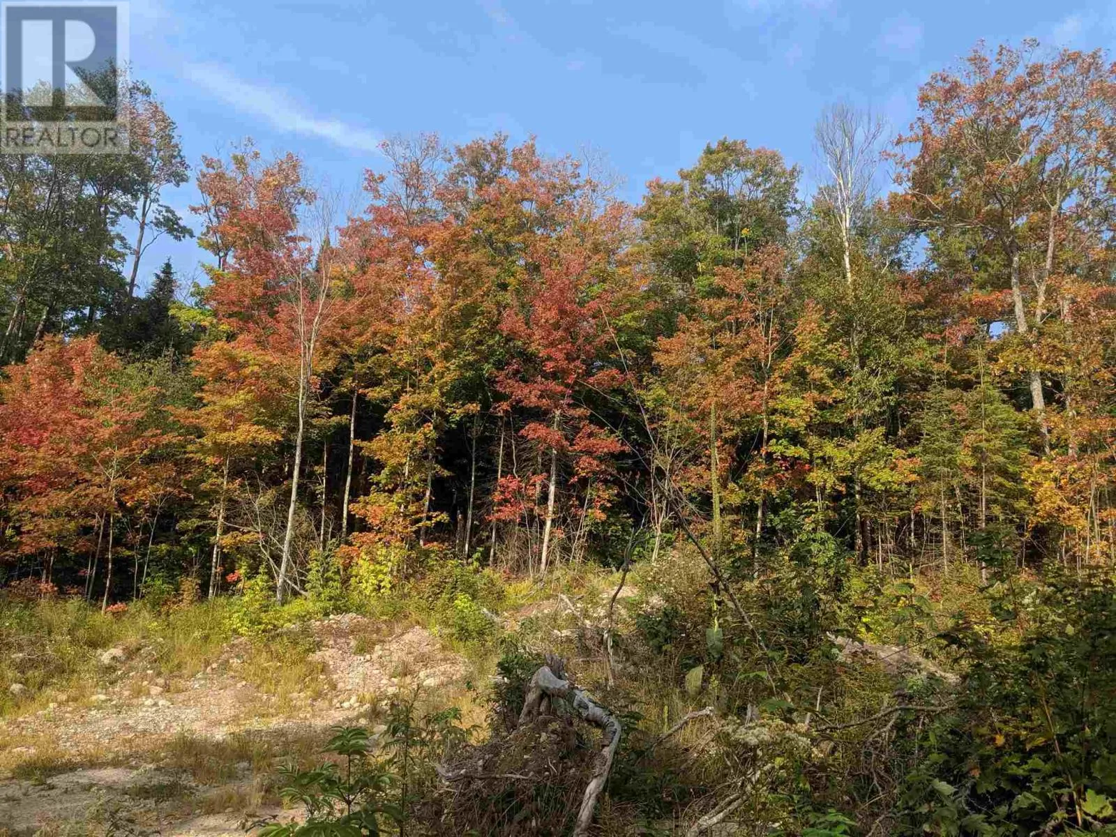 1408-1606 Sixth Line Ext|plus 3 Others, Sault Ste. Marie, Ontario P6A 5K6