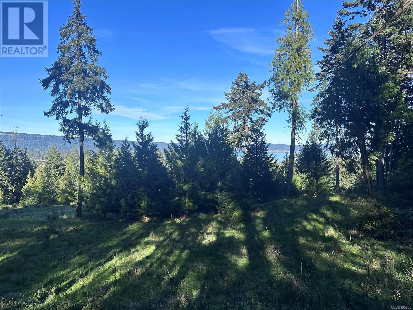 143 Blue Stone Dr, Salt Spring, British Columbia V8K 1A6