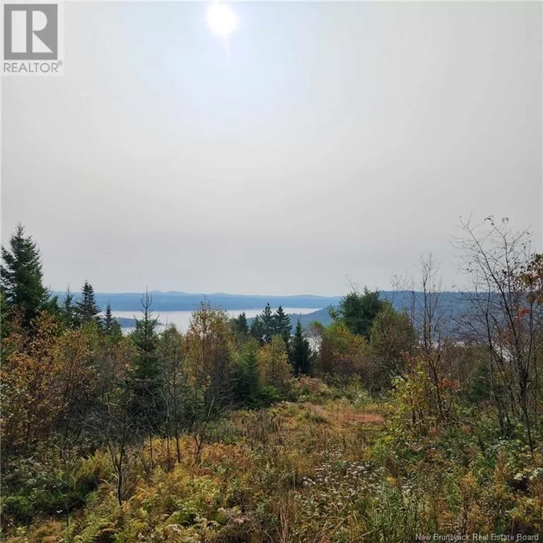 1431 845 Route, Clifton Royal, New Brunswick E2S 2G4