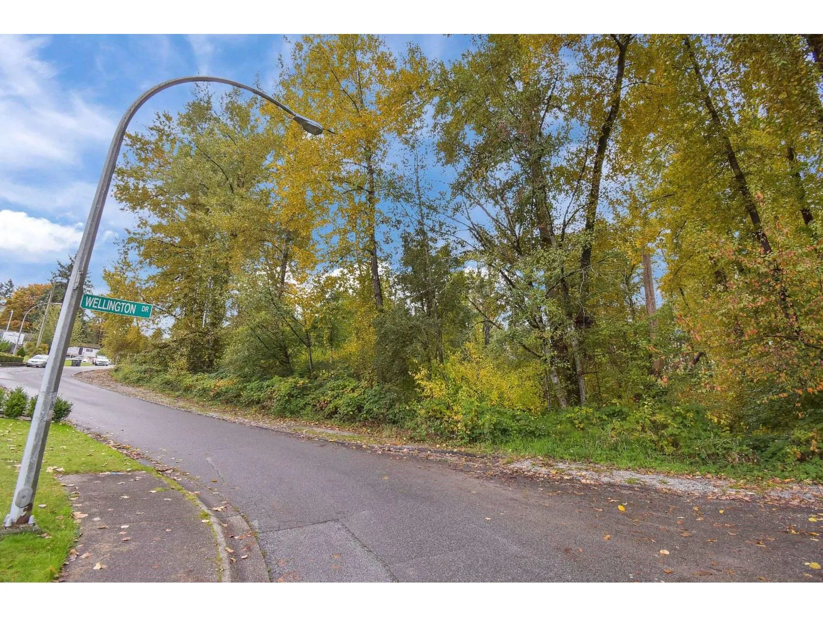 14409 115 Avenue, Surrey, British Columbia V3R 5Y2