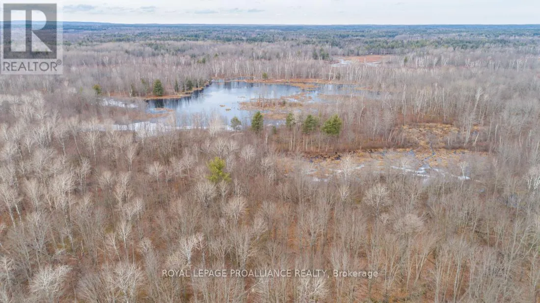 1446 Flinton Road, Tweed), Ontario K0H 1P0