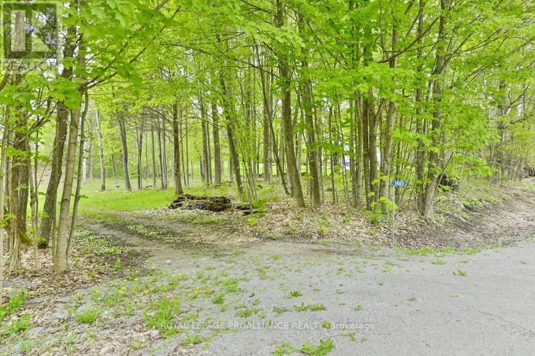 1465 Phillipston Road, Centre Hastings, Ontario K0K 2Y0