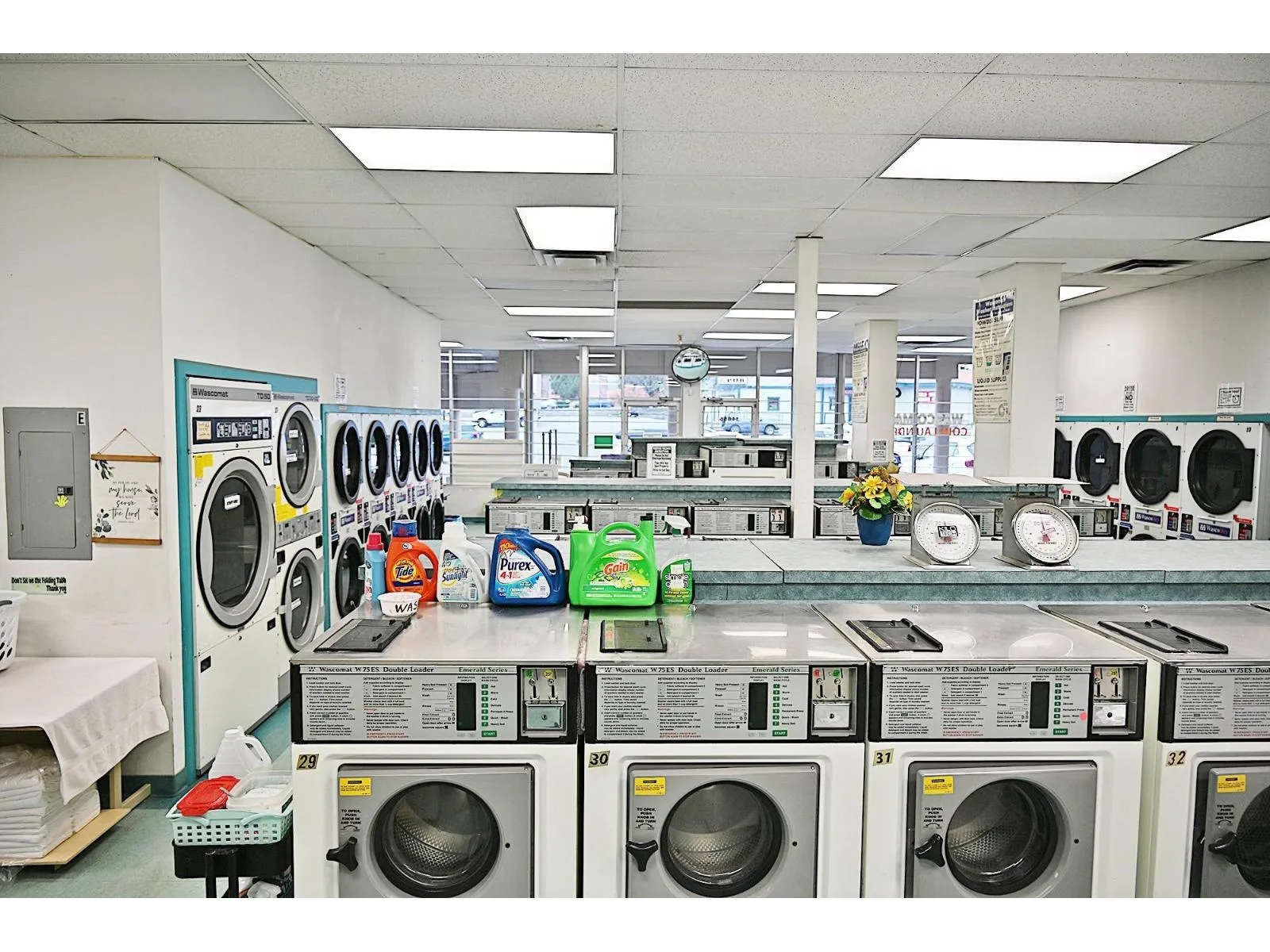 14855 108 Avenue, Surrey, British Columbia V3R 1W2