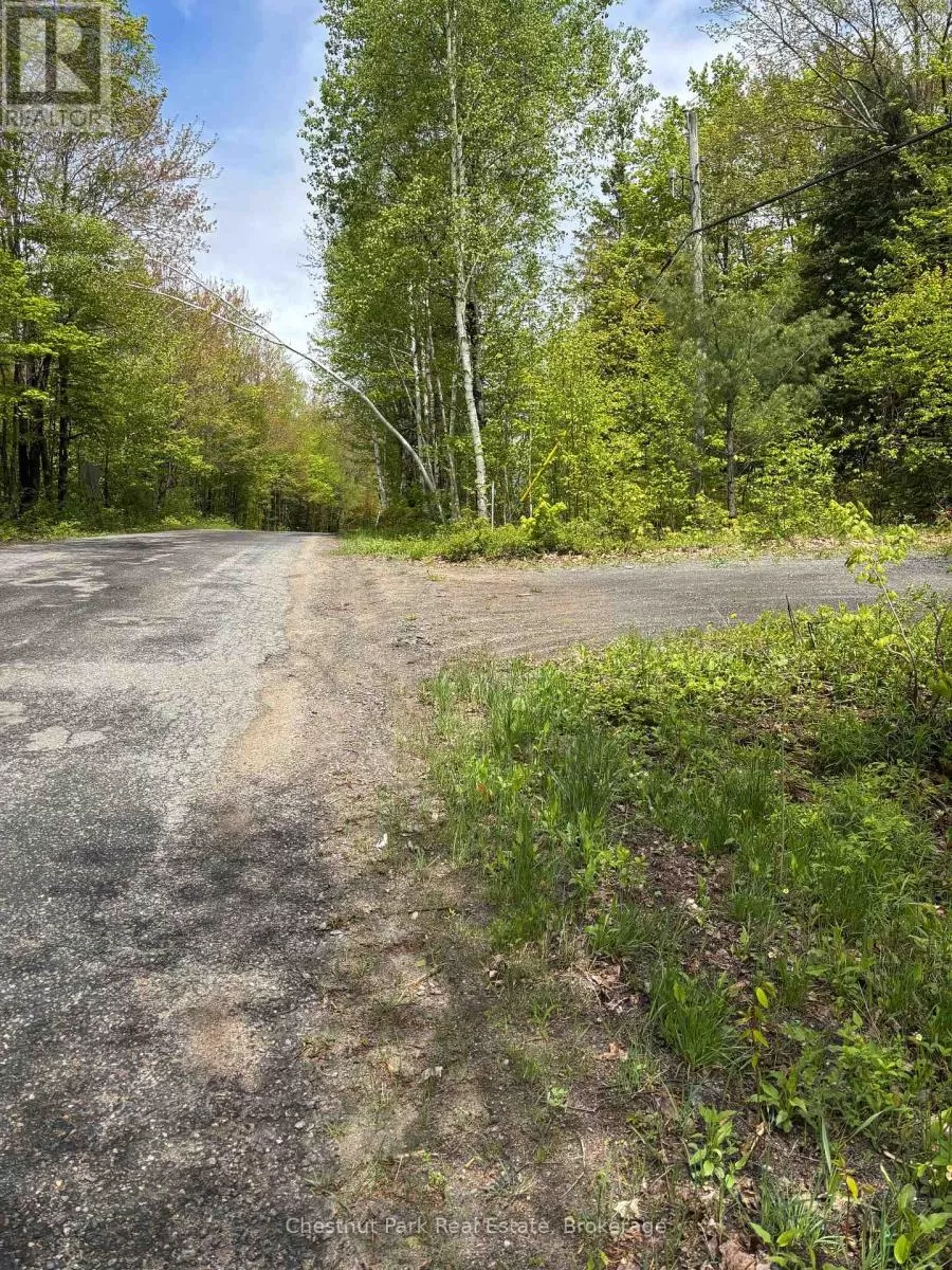 1498 Lone Pine Drive, Bracebridge, Ontario P1L 1X4