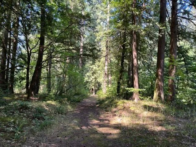 15 19743 Foster Road|hope, Hope, British Columbia V0X 1L2